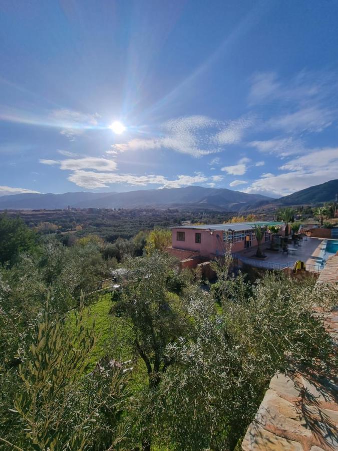 L'Oliveraie D'Amizmiz Exterior foto